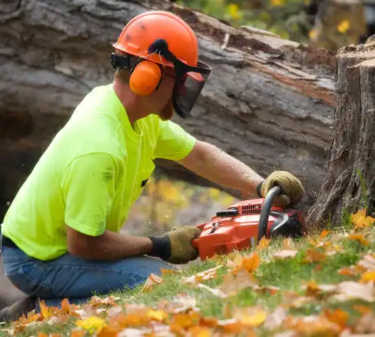 tree services Trego